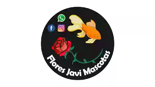 Flores Javi Mascotas