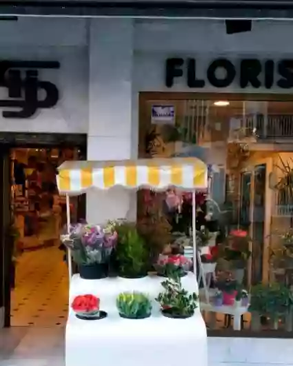 Floristas San Isidro José