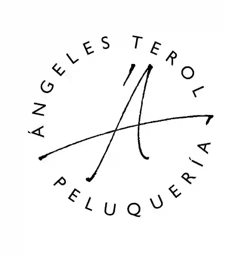 Angeles Terol Peluqueria