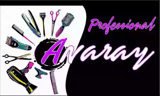 ANARAY PROFESSIONAL