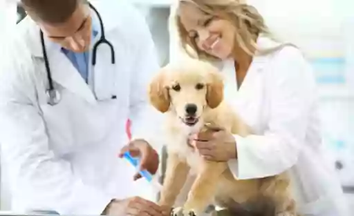 Veterinario Victor G. Ibañez Moreno