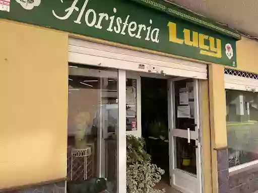 Floristeria Lucy Aguilas