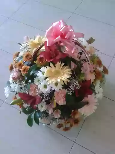 Floristería Davinia