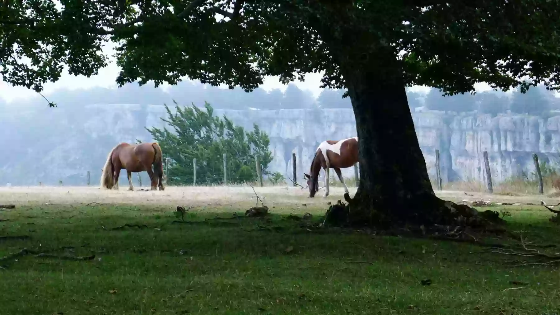 Camping de Urbasa