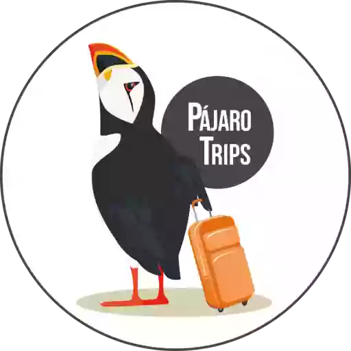 Pájaro Trips