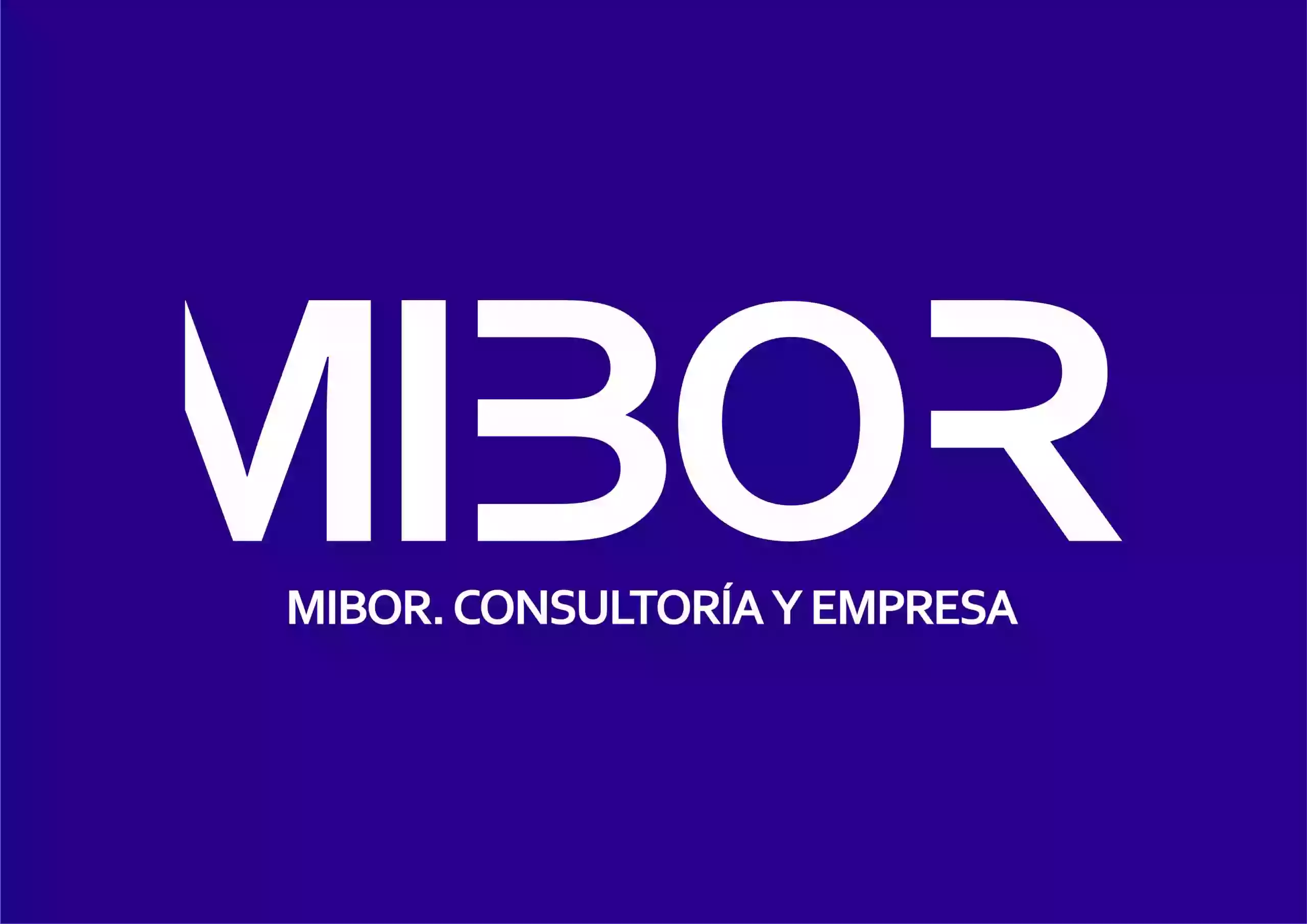 Asesoría Mibor