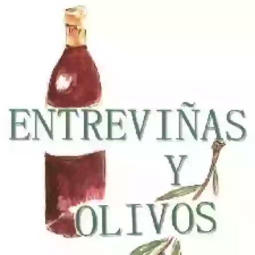 Entreviñas Y Olivos