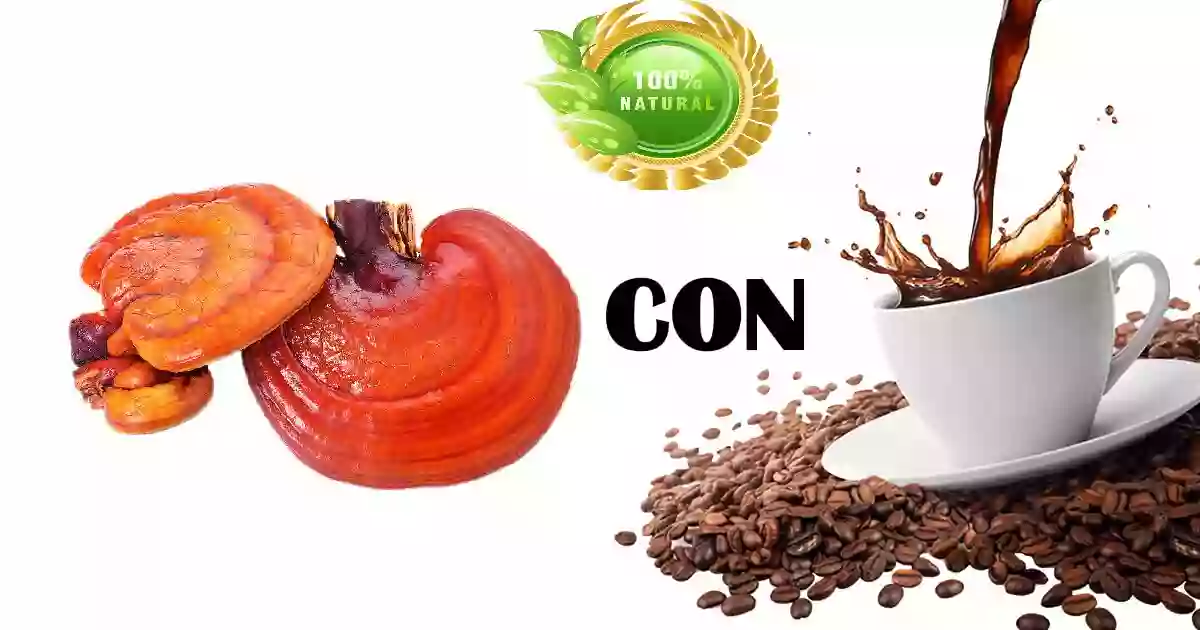 Ganoderma Asesoría Personalizada