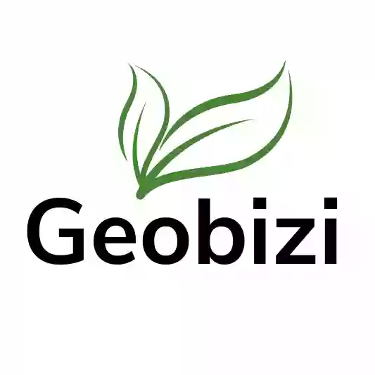 Geobizi