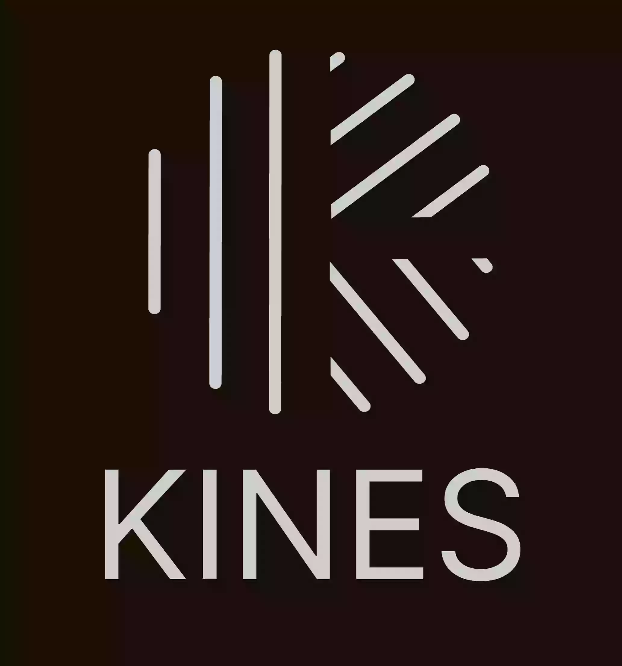 Kines - Fisioterapia y Movimiento