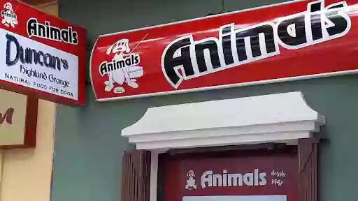 Animals