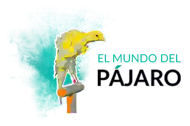 El Mundo del Pájaro