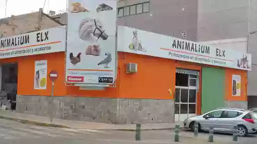 Animalium Elx , Piensos , accesorios de mascotas, Productos de jardineria...