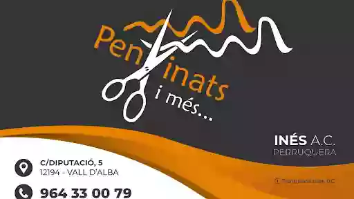 Pentinats ...i més Inés AC