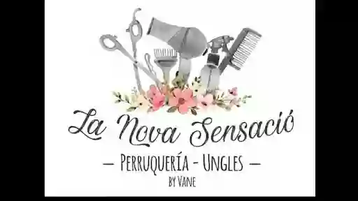 LA NOVA SENSACIÓ perruqueria