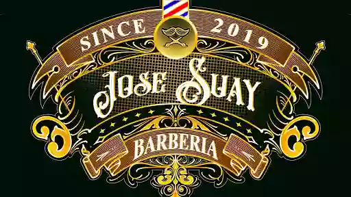 Jose Suay Barbería