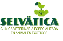 Selvätica — Clínica Veterinaria de animales exóticos