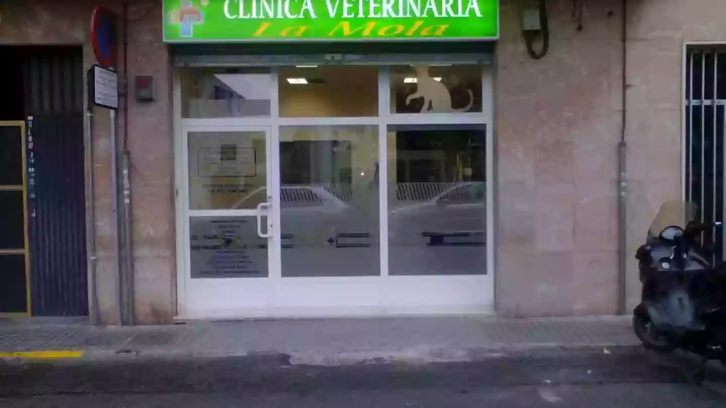 CLÍNICA VETERINARIA La Mola