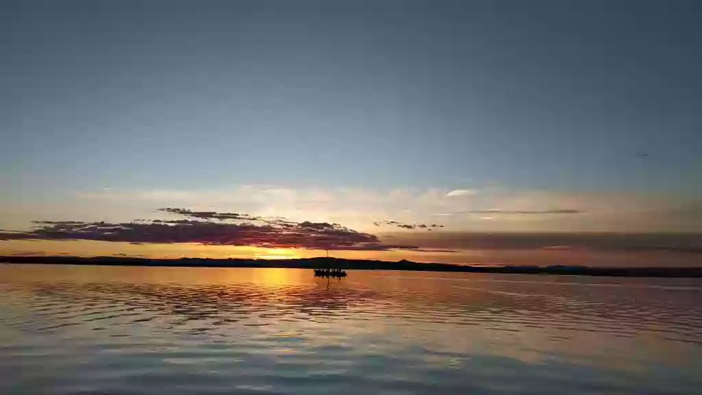 Paseos en barca por la Albufera "El Roig"