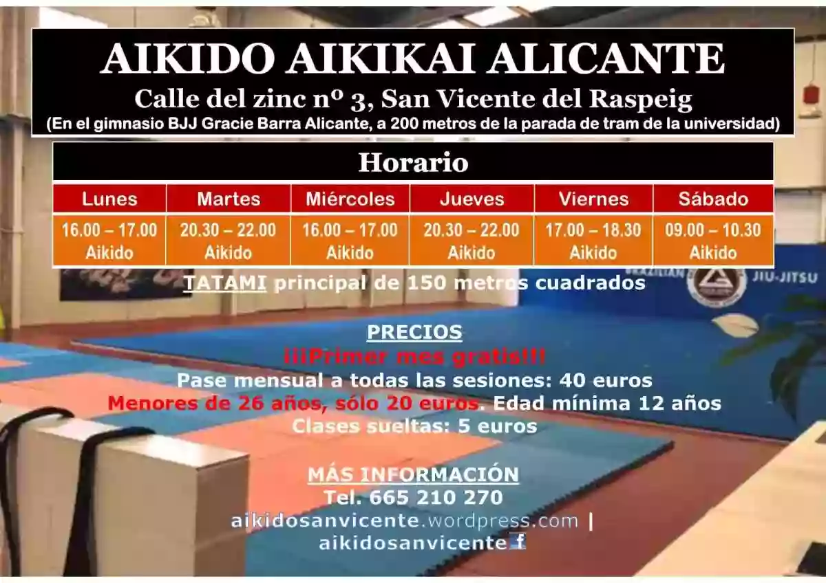 Aikido Aikikai Alicante, en San Vicente del Raspeig