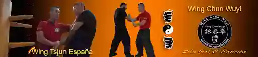 Wing Chun Wuyi - Alicante