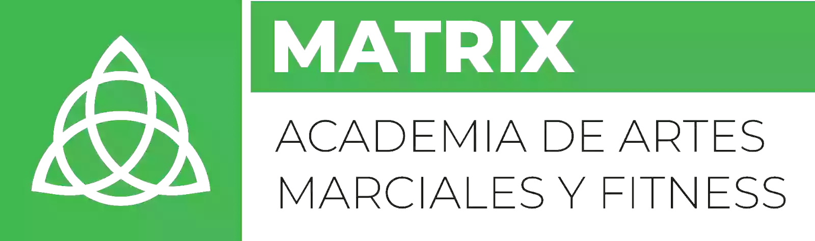 Matrix Artes Marciales