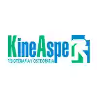 Kineaspe