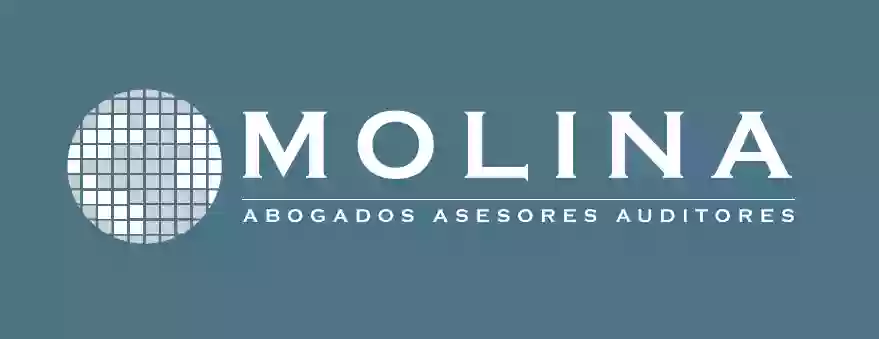 MOLINA ABOGADOS ASESORES Y AUDITORES