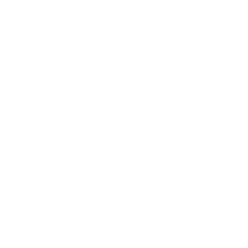 The Old Station