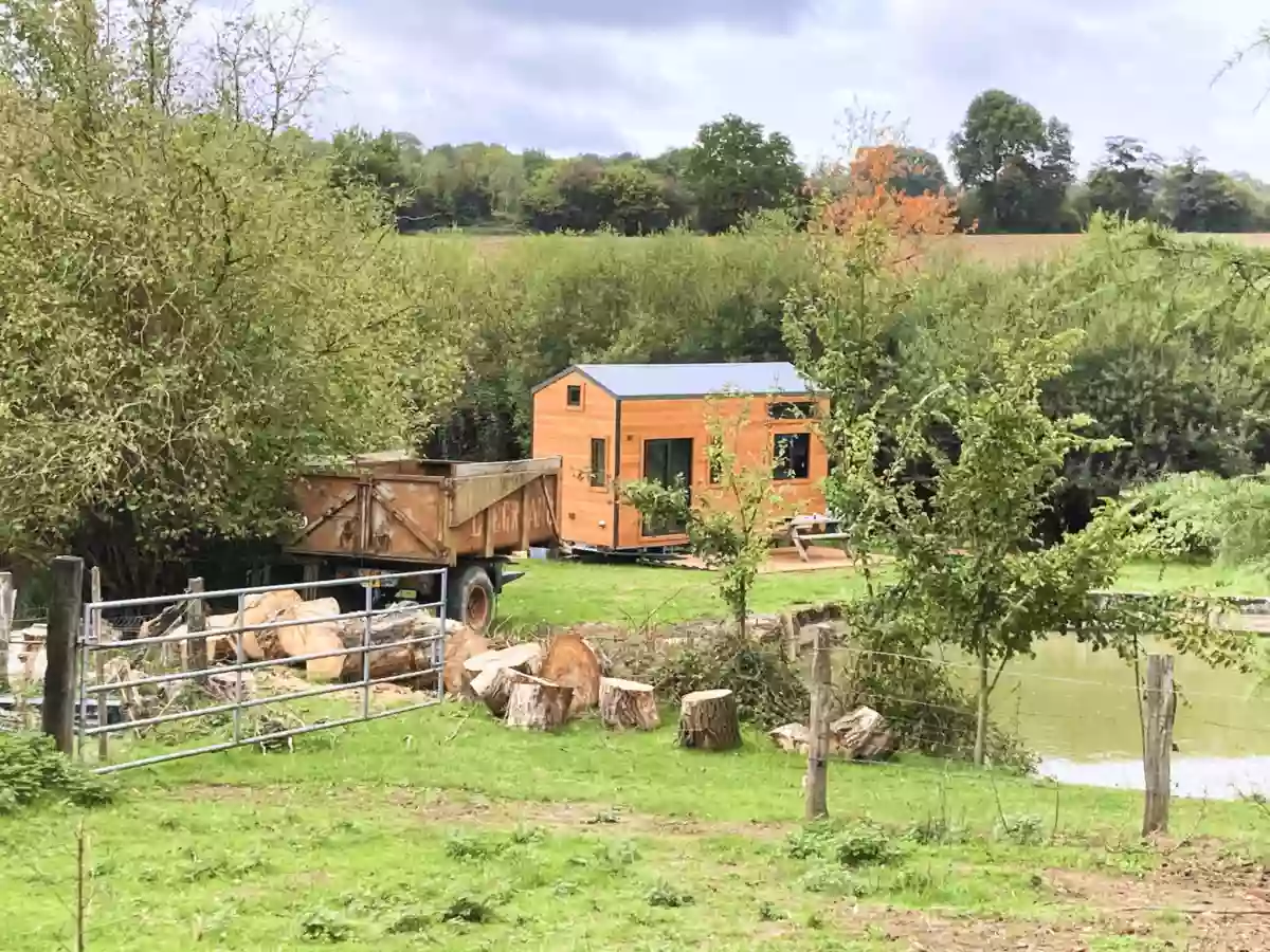 Joy Tiny House au milieu des chevaux