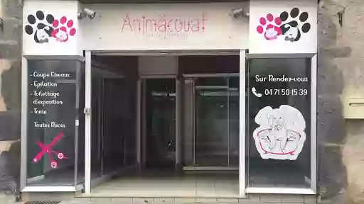 Animacouaf Toilettage Canin & Félin