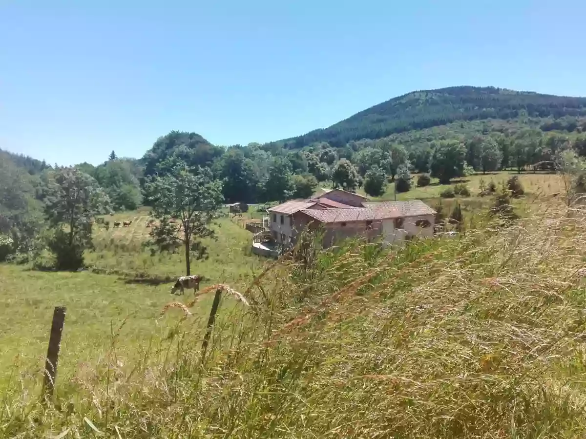 Gîtes et chambres d'hôtes en Auvergne - Le Moulin de la Fortie