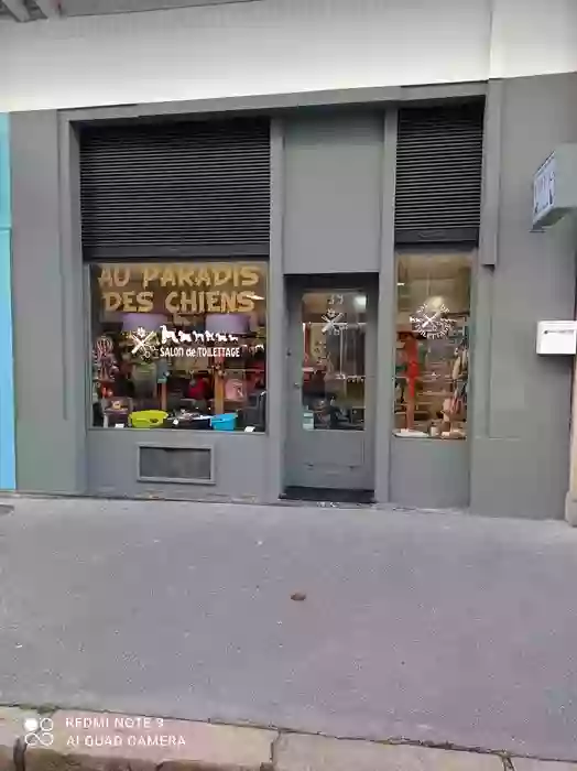 Au Paradis Des Chiens