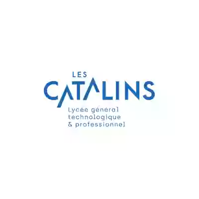 Lycée Catalins Antenne Du Meyrol