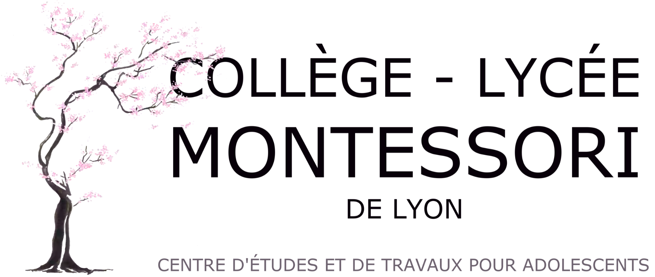 Collège Lycée Montessori de Lyon