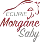 Ecurie Morgane Saby - Centre équestre, Valorisation, poney club, pensions et balades à cheval