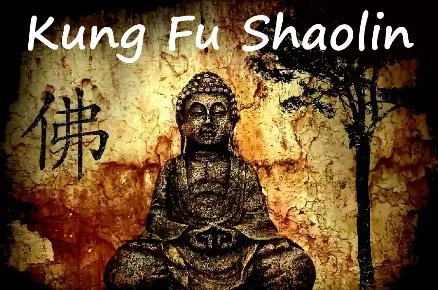 Kung Fu Shaolin Bourg-lès-Valence