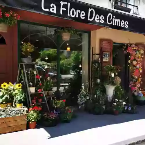 Flore des Cimes