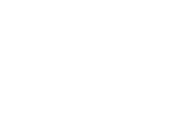 Vn Services