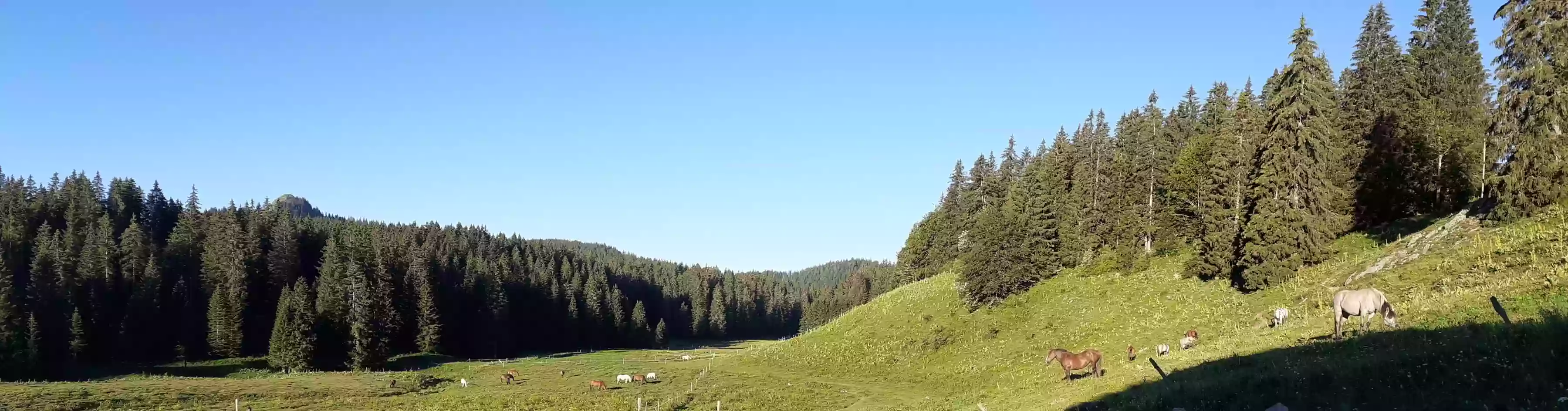 Ferme Equestre du Berbois