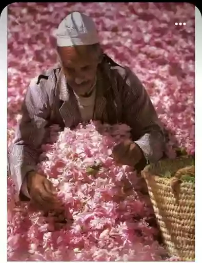 La Palmeraie de Marrakech