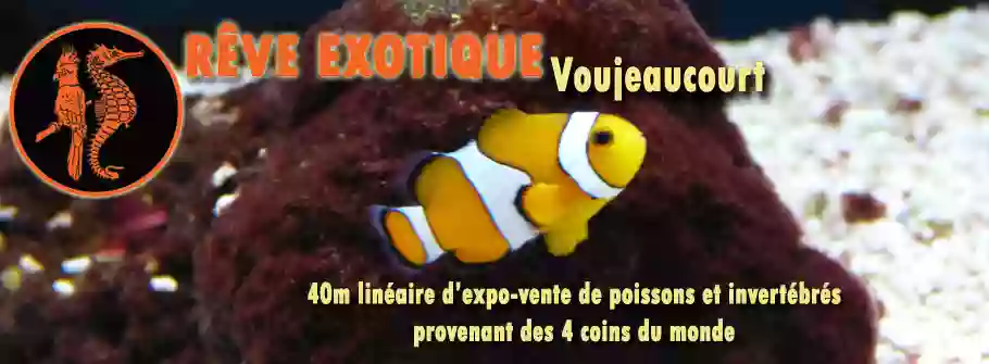 Rêve Exotique (Espace animalier + univers bassin de jardin)