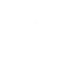 LA SOLUTION IMMO