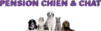 Pension chien et chat boule de poils a 4 pattes