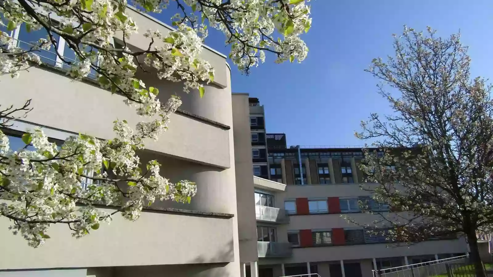 Centre Hospitalier Louis Pasteur Service des -Urgences