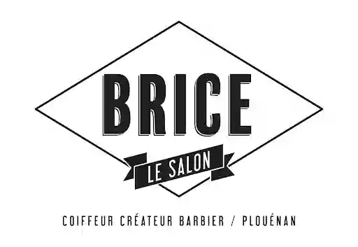 Brice Le Salon