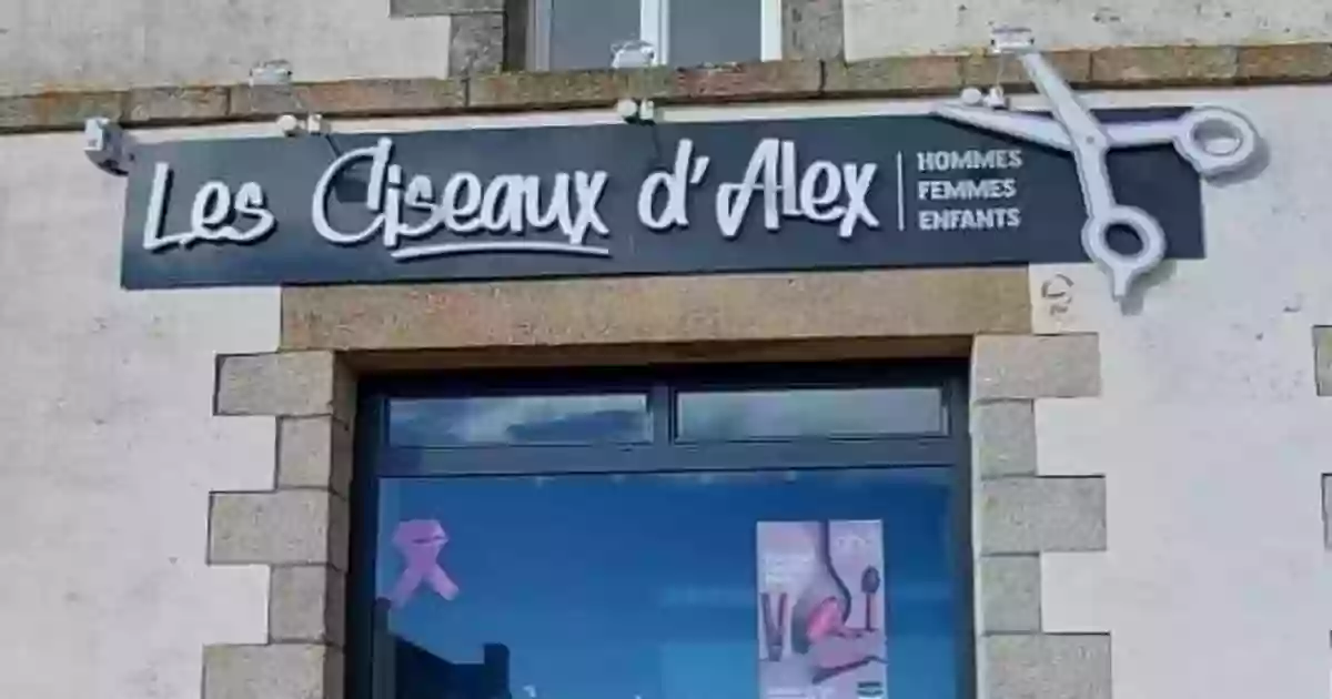 Les Ciseaux d'Alex (Neulliac)