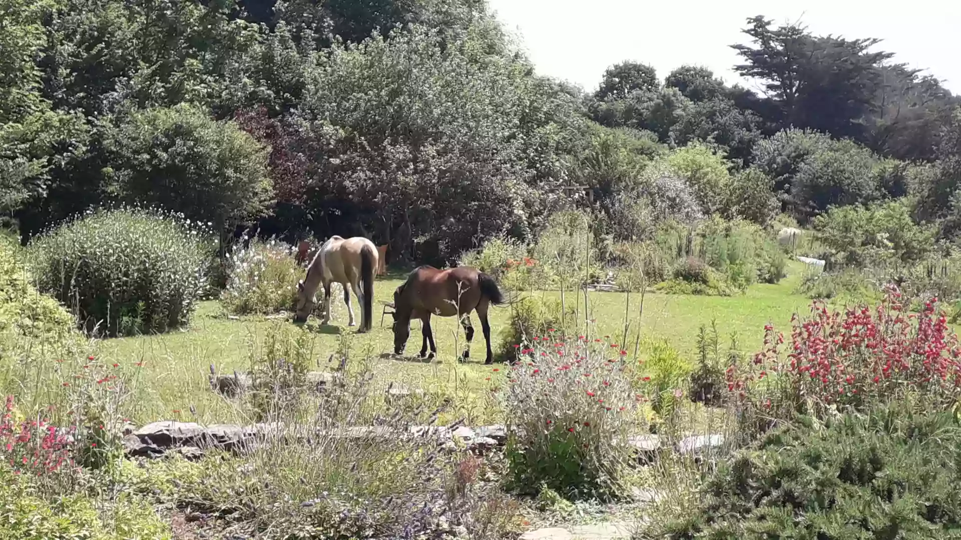 Gîte Le Jardin de Martin à 500m de la plage. Plérin