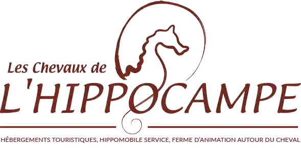 Les Chevaux de l’Hippocampe