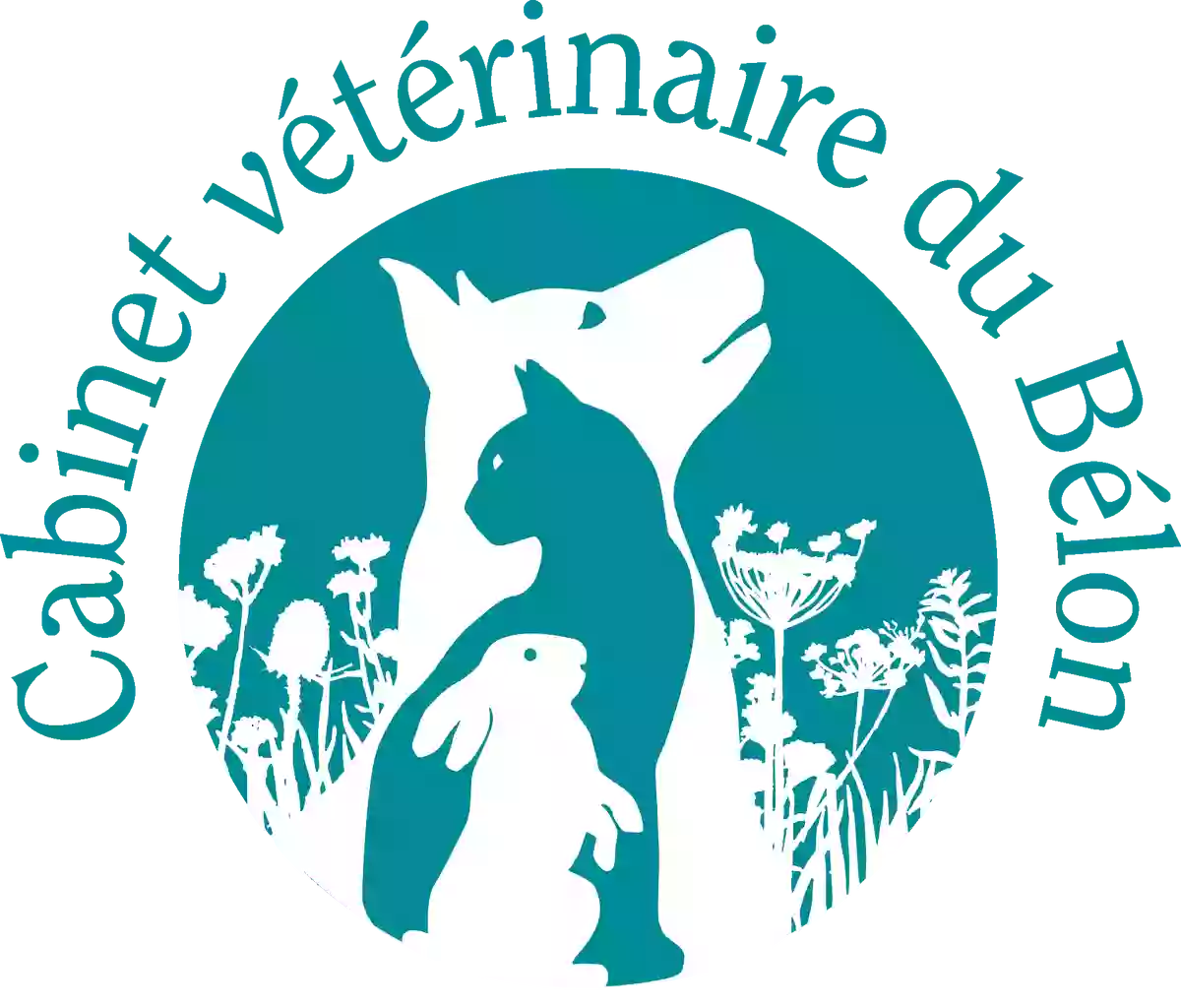 veterinaire riec sur belon